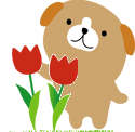 nowonimg.gif